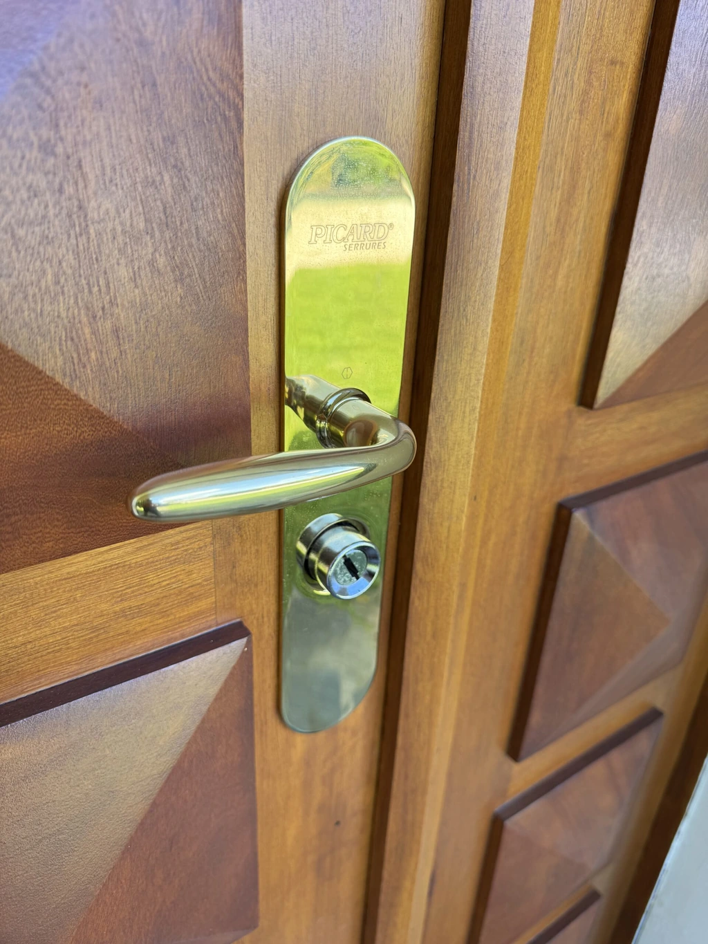 Picard handle and cylinder on a wooden door — MULTISECU