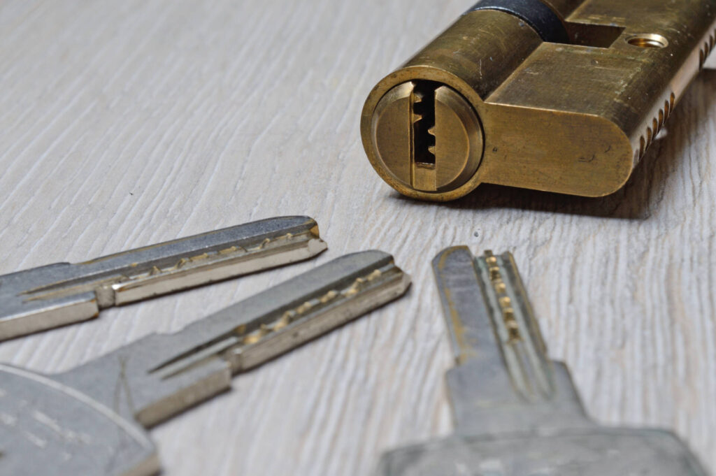 Comment changer le barillet de sa serrure soimême ? MULTISECU — free download