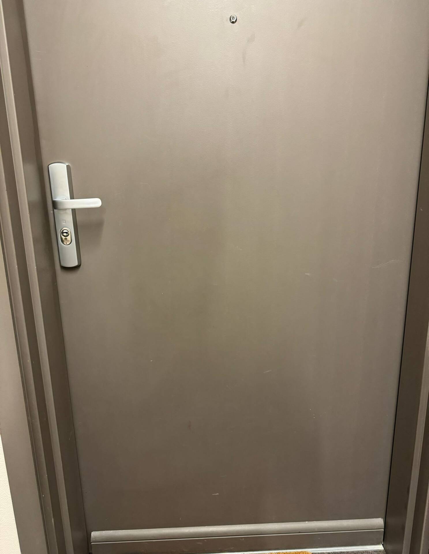 HQ2 Platinum + security door handle at Viry (74) 2