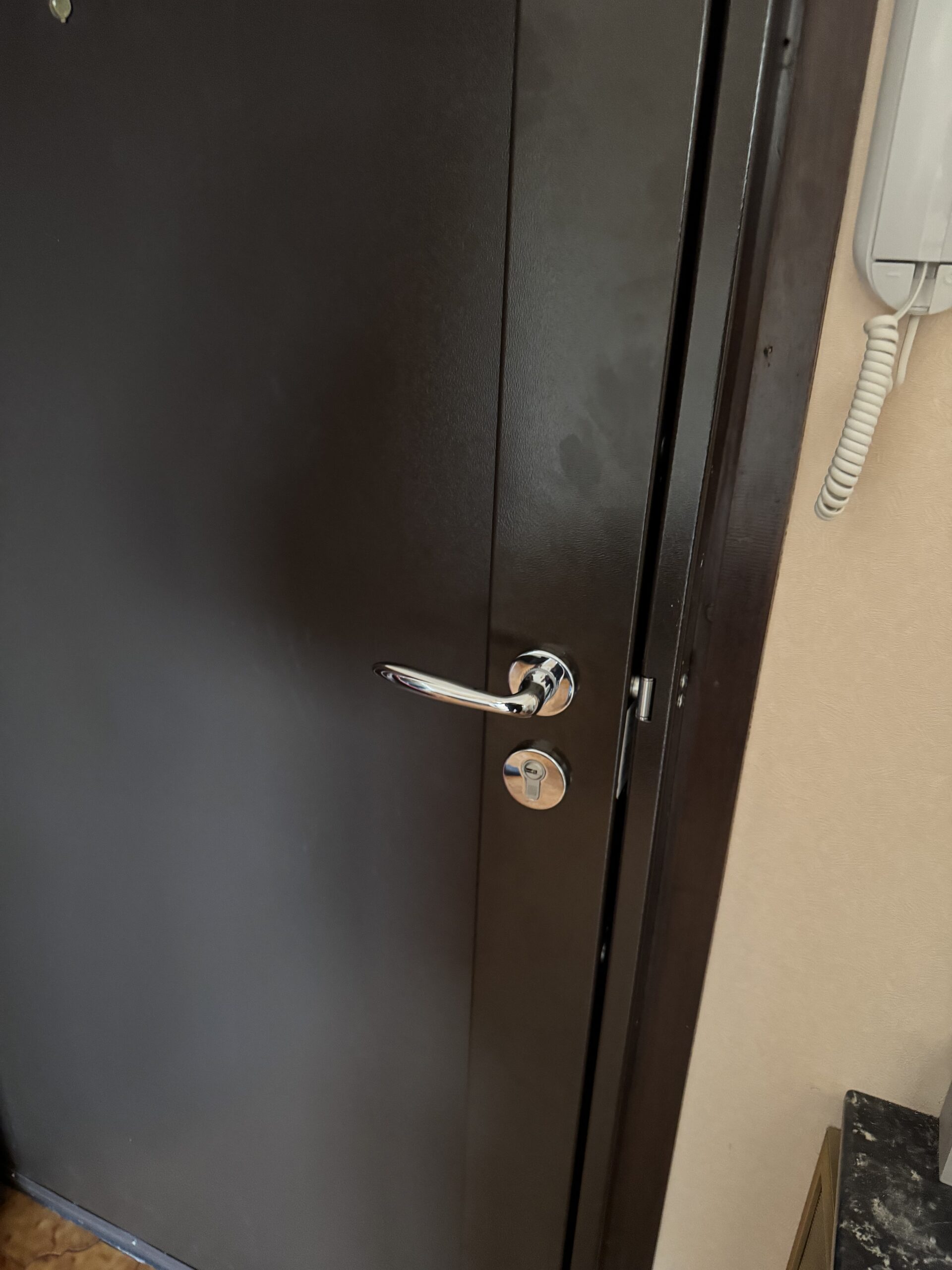 Dark covered multipoint lock on an entrance door — MULTISECU