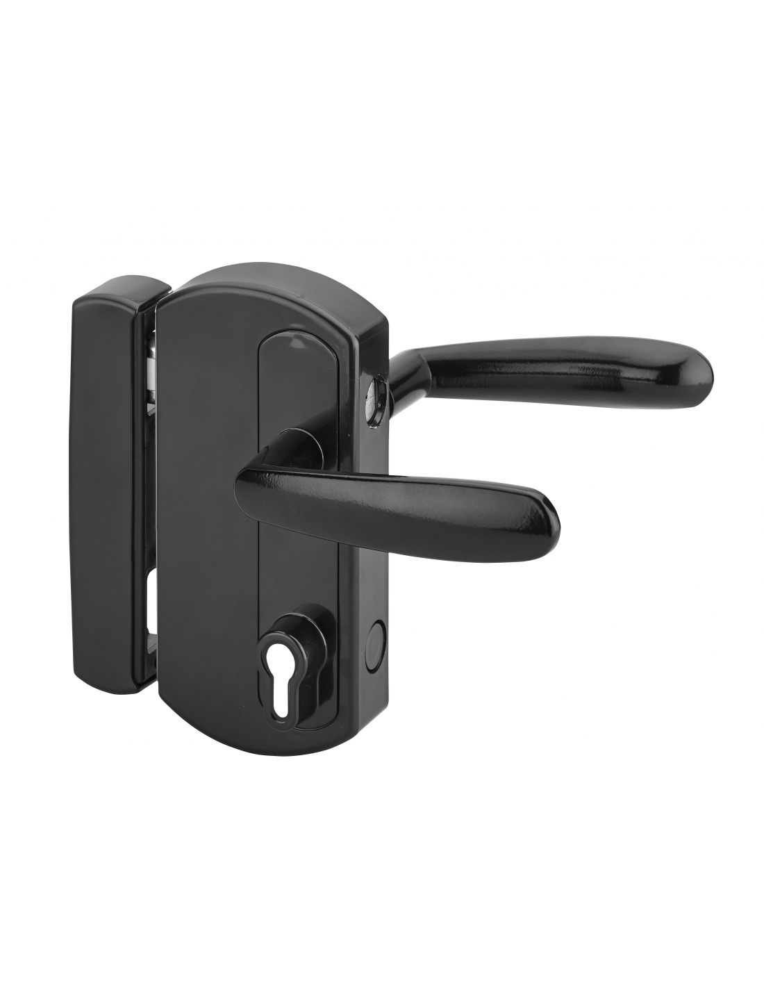 Gate lock: a lock case and operating mechanism suited to outdoor use.